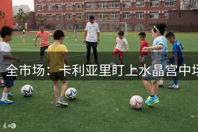 全市场：卡利亚里盯上水晶宫中场德文尼，转会处在初步阶段